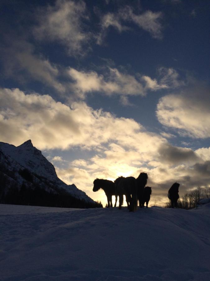 Flo Lofoten Nature Escape Valberg Экстерьер фото